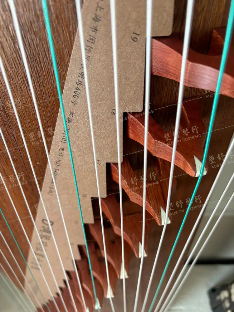 [cargo]Dunhuang 敦煌 ｜镜花蝶影 Echos of Blossoms and Butterflies