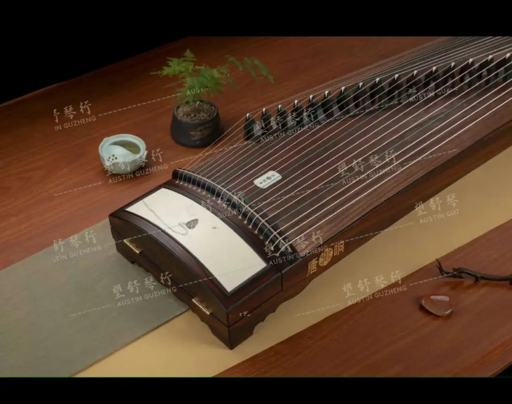 [cargo] Tangxiang 唐响 | 新衣 Xinyi East Indian Rosewood 阔叶黄檀