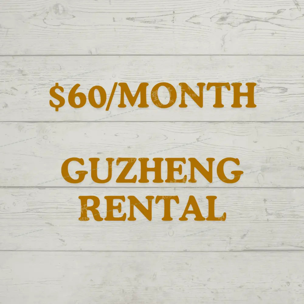 guzheng rental basic-entry level lessons