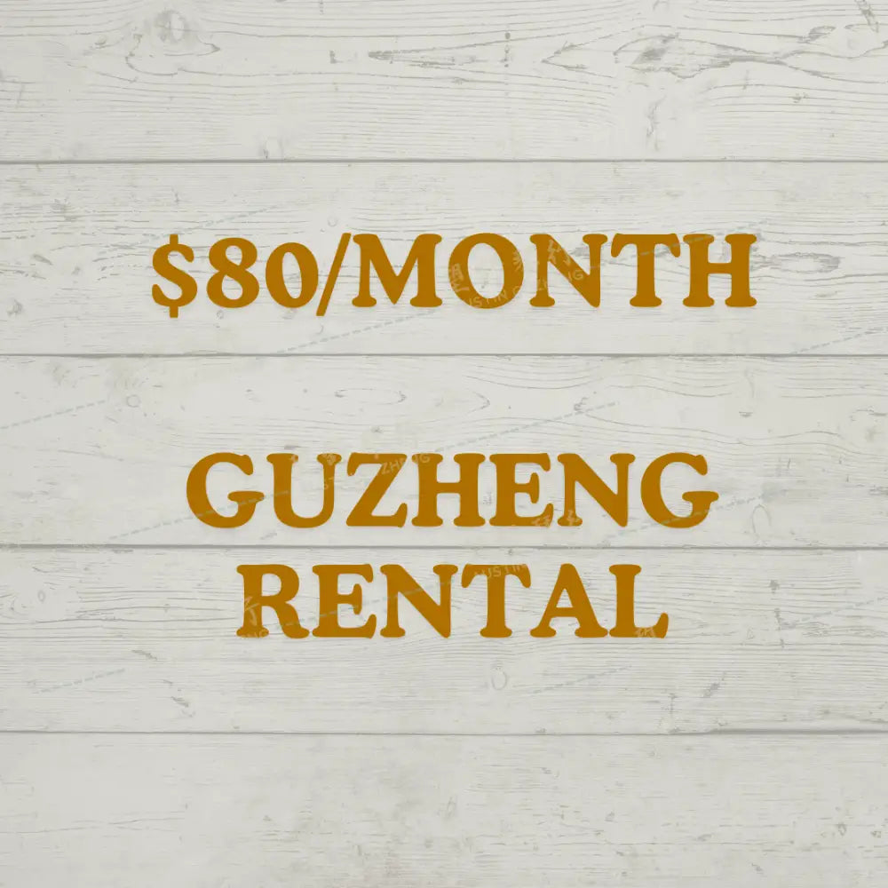 guzheng rental intermediate level lessons