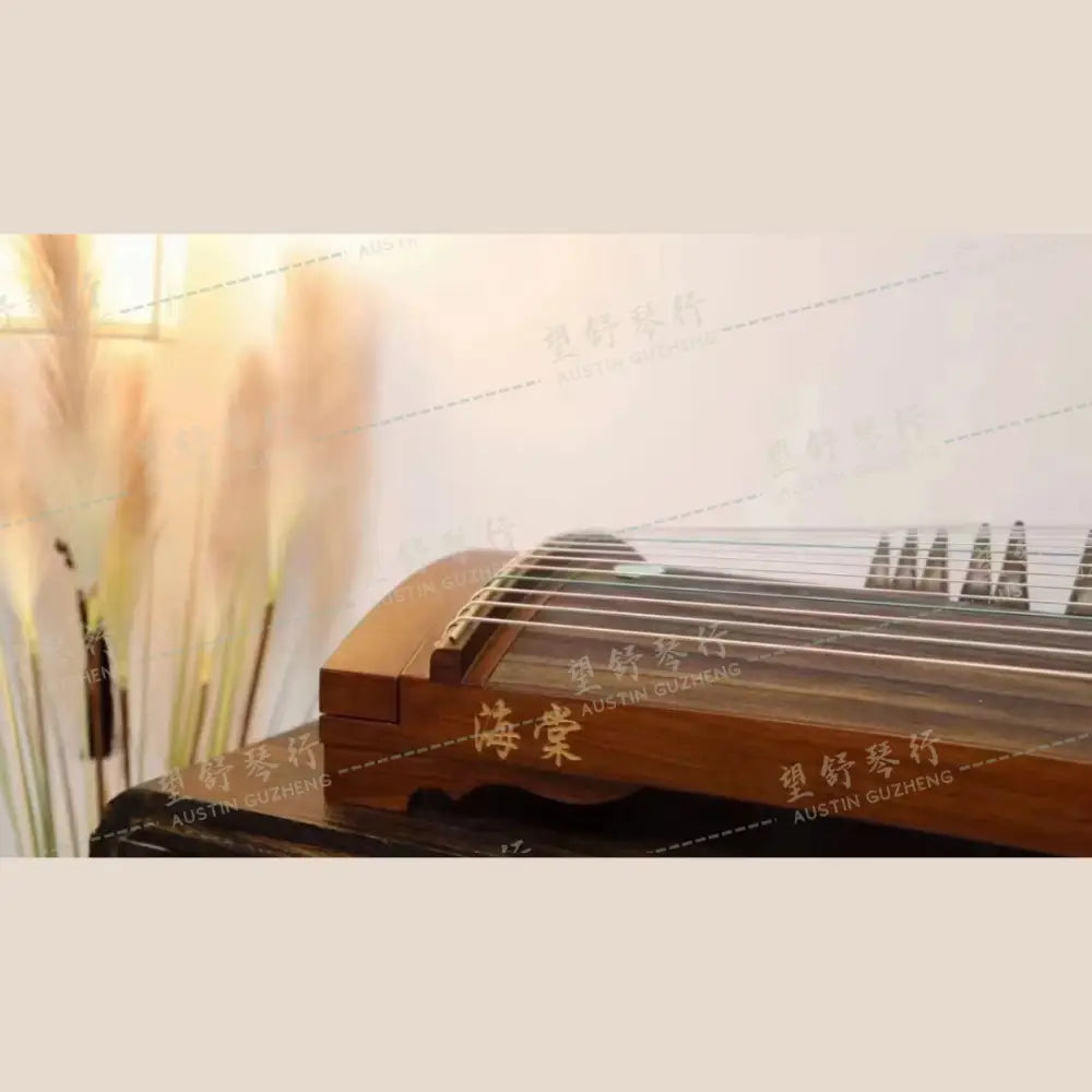 Haitang Guzheng 海棠古筝 110cm 小棠 East Indian Rosewood 阔叶黄檀