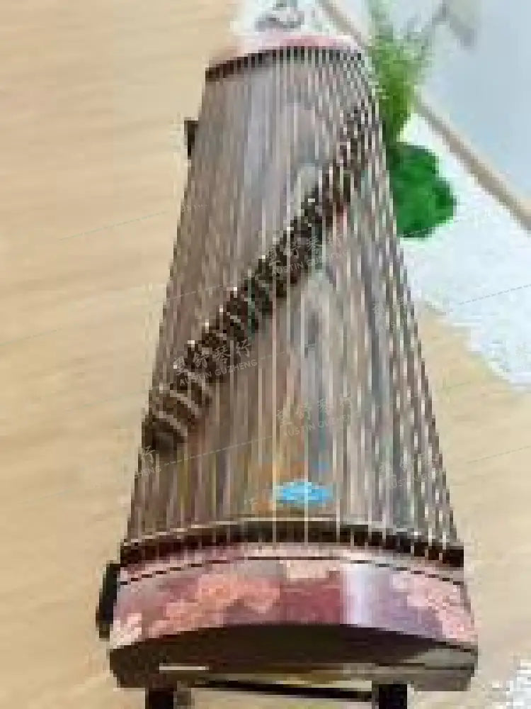 Haitang Guzheng 海棠国乐古筝 135cm Yunshang 云裳 in stock U.S. 美国现货 East Indian Rosewood 阔叶黄檀
