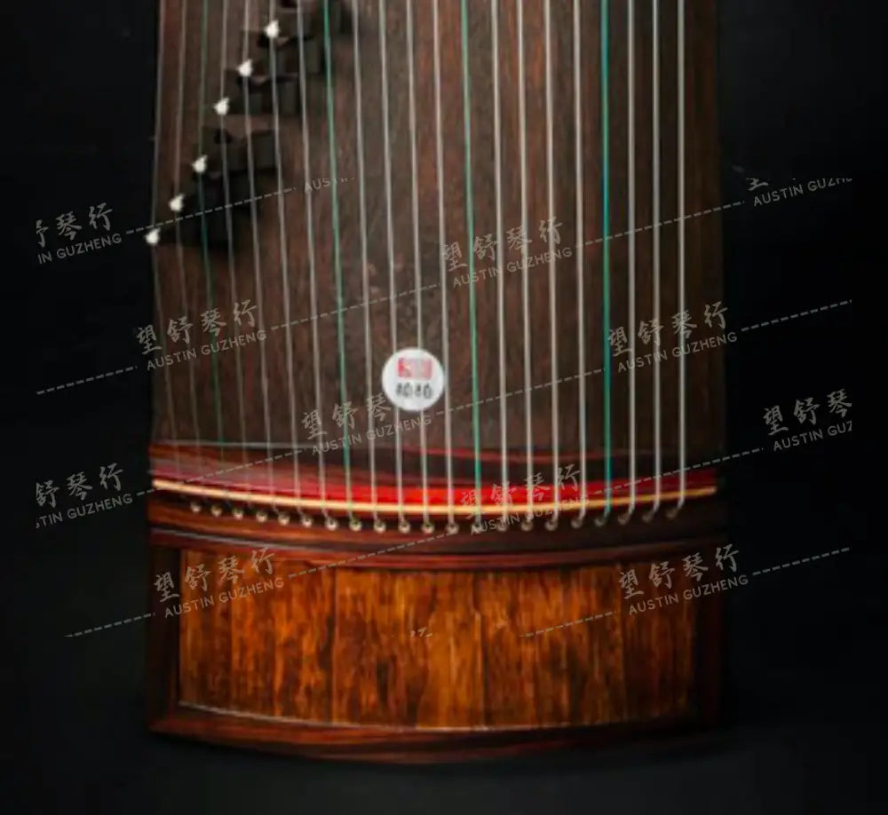 Songbo guzheng 松柏古筝 桐易 Tong Yi B163-14